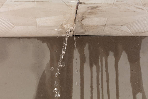 Professional Water Extraction technician working in Ellis Grove, IL